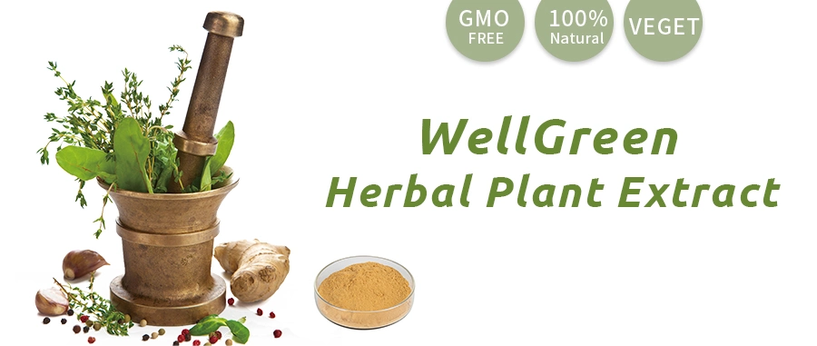 High Quality Natural Organic Pure 10: 1 Herbal 100% Powder Houttuynia Cordata Extract