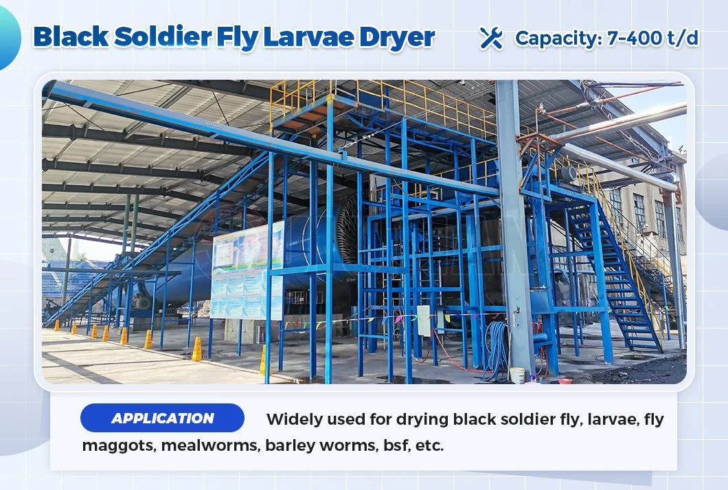 China Manufacturer Black Soldier Fly, Fly Maggots Drying Equipment for Sale