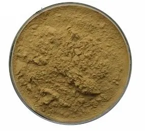 Factory Supply Herbal Extract Powder Ursolic Acid