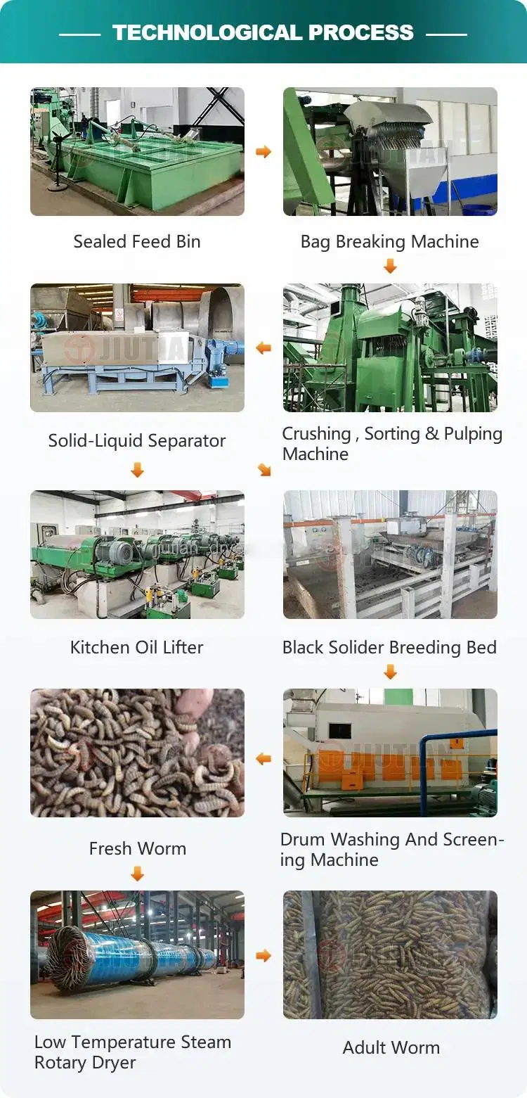 China Manufacturer Black Soldier Fly, Fly Maggots Drying Equipment for Sale